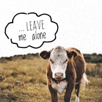 Leave Me Alone by Salt And Pine