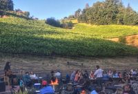 The Puffball Collective At Big Basin Vineyards