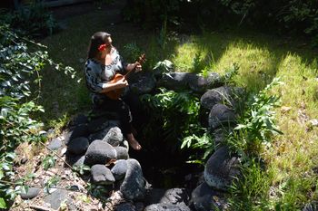 This photo features an old well located in a old maternity village from long ago in South Kona
