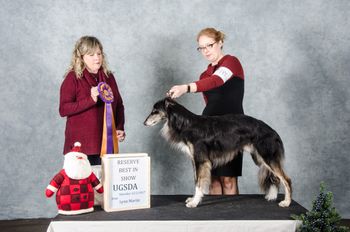 UKC Reserve Best in Show
