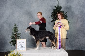 UKC Best in Show
