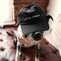 Social Animals Corduroy Hat