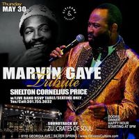 Marvin Gaye Tribute