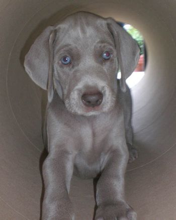 Zoe in Tunnel
