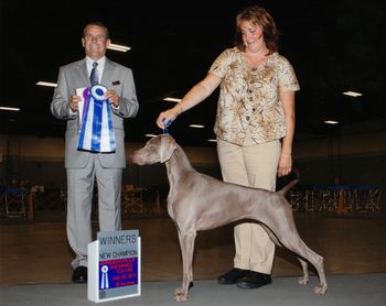 GCh Seabreeze Colsidex Good Witch of HiBourne (Glinda) 7/28/11
