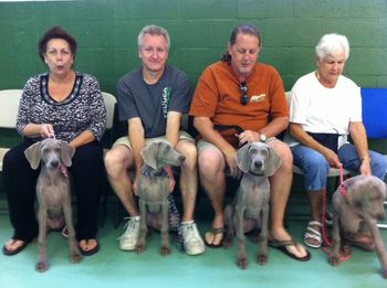 Puppy Class 5/28/11
