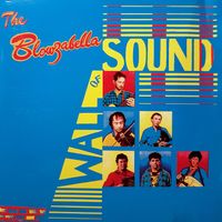 Wall of Sound by Blowzabella
