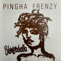Pingha Frenzy - live in Brazil by Blowzabella