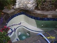 We can also perform the acid wash service on your spa!
