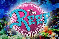 Jim Gaff at "The Reef"