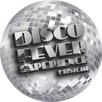 Disco Fever Experience Private Party