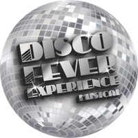 Disco Fever Experience   /  Private party