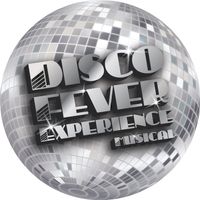 Disco Fever Experience / Private Party