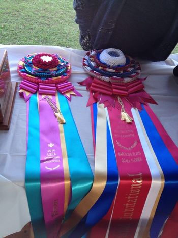 Gillette Cup winner (left) and Best in II rosettes
