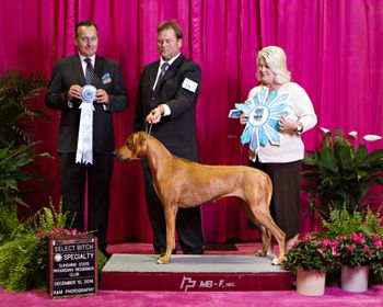 SEL Bitch GCH DC Regal Tolerton's Luminara Undili for Bindura, MC
