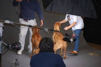 Bindi and Esme on their National Geographic photo shoot
