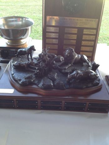 The Ridgeback perpetual trophy for BOB on Sunday

