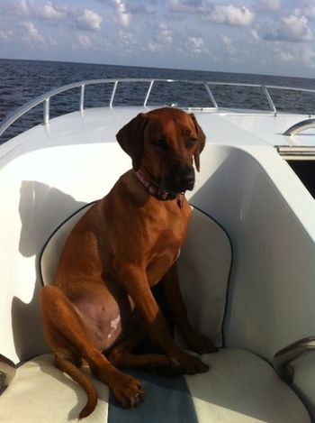 Reagan on the boat in Gulf
