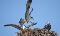 Out Late Celebrates Estuary Day