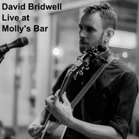 Live at Molly's Bar by David Bridwell