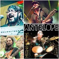 Antelope: A Tribute To The Band Phish