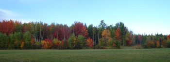 New Brunswick fall colours
