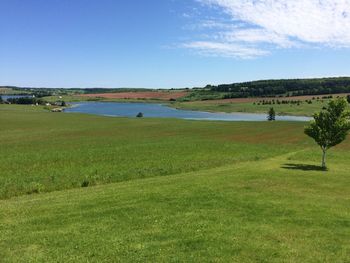 Did I say I love Prince Edward Island?
