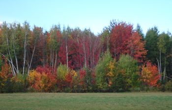 More New Brunswick colours
