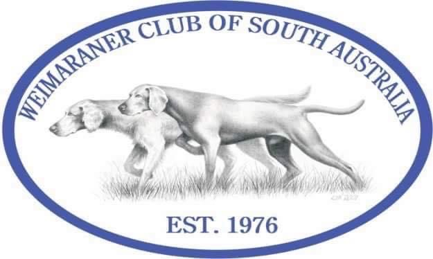 Weimaraner Club Of South Austrlia Inc