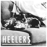 Heelers by Heelers