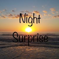 Night Surprise by Arthur L Long Jr