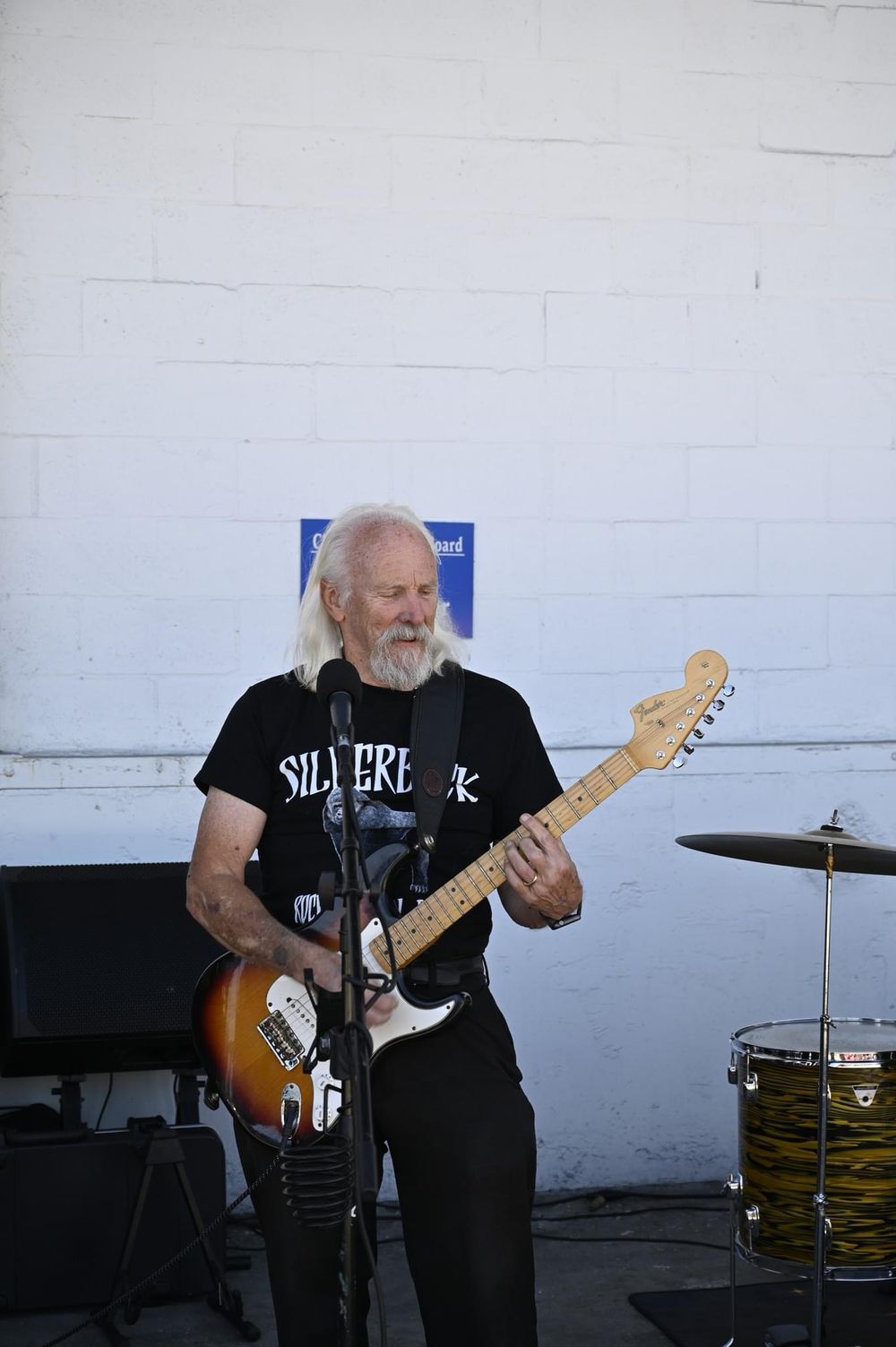 Silverback Rock n Roll Band - Photos