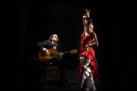 Senes Flamenco Dance show