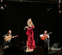 Senes Flamenco Trio Dance show