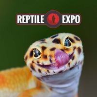 Ottawa Reptile & Plant Expo - Reptile Rainforest