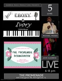Ebony & Ivory @ The Promenade Bolingbrook Spring Craft Show!