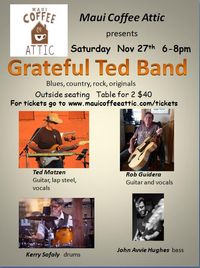 Grateful Ted band