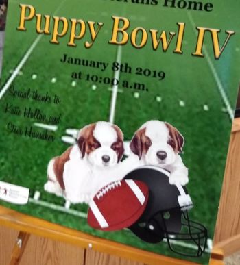Puppy Bowl !!!
