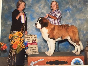Sulley Best of Breed Wyoming Show
