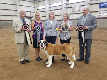 IABCA show SLC,Utah Rosie Best in Show four times!!
