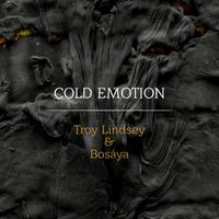 Cold Emotion by Troy Lindsey feat. Bosaya