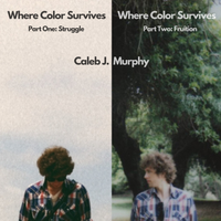 Where Color Survives by Caleb J. Murphy