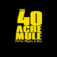 The 40 Acre Mule w/ Jonathan Jeter & Ben McCracken (of From Parts Unknown) 
