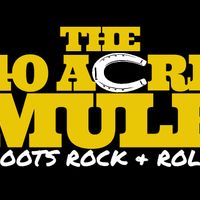 THE 40 ACRE MULE VINYL STICKER