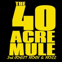 The 40 Acre Mule w/ The Rhythm Shakers and The Premonitions
