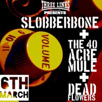 The 40 Acre Mule + Slobberbone + Dead Flowers