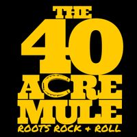 THE 40 ACRE MULE TALLBOY LED KOOZIE