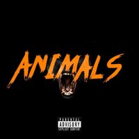 Animals  by Sinzere