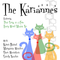 This Song Is a Cure (Big Stir Digital Single No. 17) by The Kariannes