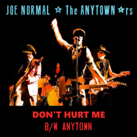 Don't Hurt Me (Big Stir Digital Single No. 14) by Joe Normal & the Anytown'rs